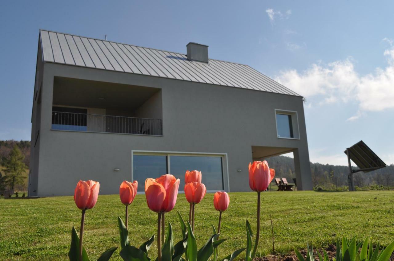 Apartament Dom Na Zboczu Lodygowice Zewnętrze zdjęcie